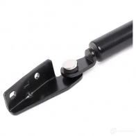Амортизатор багажника, упор задней двери RIDEX PF7K C 219g0582 1437702436 - Изображение 3