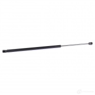 Амортизатор багажника, упор задней двери RIDEX 8 1KB7W 219g0469 1437704049
