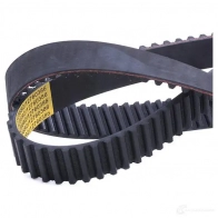 Ремень ГРМ RIDEX 1437973464 O KPG6 306t0231 - Изображение 4