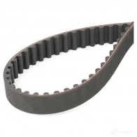 Ремень ГРМ RIDEX 306t0062 KRETG 61 1437661780 - Изображение 4