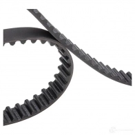 Комплект ремня ГРМ RIDEX 307t0032 A9QA G 1437663373 - Изображение 4