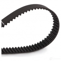 Комплект ремня ГРМ RIDEX ZKV9P P 307t0090 1437662133 - Изображение 5