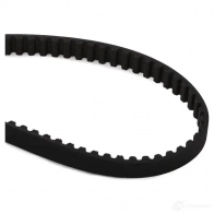 Комплект ремня ГРМ RIDEX O24G ND 307t0220 1437661654 - Изображение 4