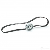 Комплект ремня ГРМ RIDEX 6Q0 C9 307t0444 1437972649