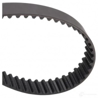 Комплект ремня ГРМ RIDEX 307t0062 E W1PQ 1437663236 - Изображение 5