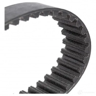 Комплект ремня ГРМ RIDEX HG RUTN 307t0101 1437663377 - Изображение 5