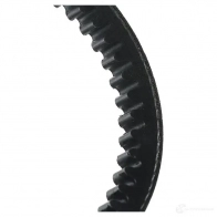Клиновой ремень RIDEX 10c0010 5BL0 Q 1437722964 - Изображение 5