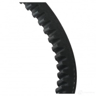 Клиновой ремень RIDEX EJL1B 8 10c0031 1437721788 - Изображение 5