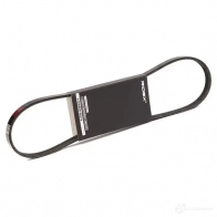 Приводной ремень, поликлиновой RIDEX 305p0299 1437663186 TM SNW87 - Изображение 2