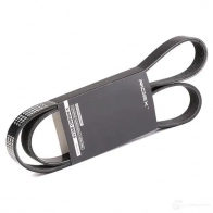 Приводной ремень, поликлиновой RIDEX 305p0451 TMGBH R 1437662470 - Изображение 2
