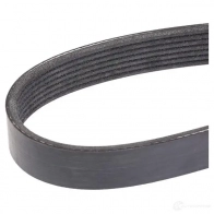 Приводной ремень, поликлиновой RIDEX W724XG F 305p0389 1437662632 - Изображение 3