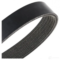 Приводной ремень в комплекте RIDEX W 14EEKU 542r0023 1437745876 - Изображение 5