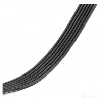 Приводной ремень в комплекте RIDEX RMXO C 542r0188 1437745555 - Изображение 5