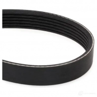 Приводной ремень в комплекте RIDEX 542r0115 TWA EV1W 1437745881 - Изображение 6