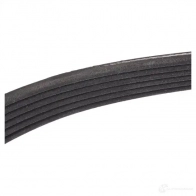 Приводной ремень в комплекте RIDEX WPB 1XRK 542r0099 1437745749 - Изображение 5