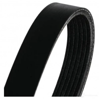 Приводной ремень в комплекте RIDEX 542r1047 ZMJS S4U 1437969680 - Изображение 6