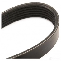 Приводной ремень в комплекте RIDEX FQ3 5H 542r0563 1437745731 - Изображение 5