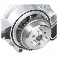 Водяной насос, помпа RIDEX 1260w0214 509UE C 1437733754 - Изображение 5