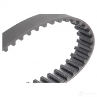 Комплект ремня грм с водяным насосом RIDEX BC7 XEN 3096w0009 1437680503 - Изображение 6