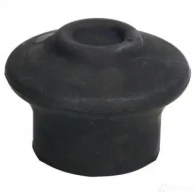 Кронштейн двигателя REINHOCH rh110015 89 FY5 1437646323 - Изображение 2