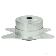 Кронштейн двигателя REINHOCH XSG3GS N 1437646719 rh115018