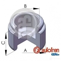 Поршень суппорта AUTOFREN SEINSA 8430320114569 E WHY8 D025268 2661970