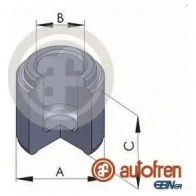 Поршень суппорта AUTOFREN SEINSA SD9VX 2G 2661903 D025118 8430320084510