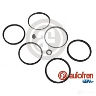Ремкомплект суппорта AUTOFREN SEINSA D4079 8430320017242 2663900 QL ZNLHQ