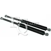 Амортизатор капота EQUAL QUALITY 1LD8Z I0 MG16053 1229442388 EEMRBS