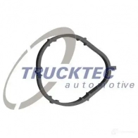 Прокладка впускного коллектора