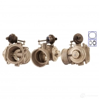 Клапан ЕГР TRW lev0251 GI X3TXJ 1424302787