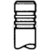 Впускной клапан TRW LX2 7WRQ 29267 Ford Focus 2 Хэтчбек 2.0 TDCi 136 л.с. 2004 – 2012 4028977511981