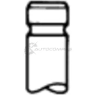 Впускной клапан TRW 25237 4028977512971 Peugeot 106 2 (1A, 1S) 1996 – 2001 UYI K8