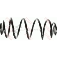Пружина TRW jcs195 Renault Espace (JK0) 4 Минивэн 3.5 V6 (JK00. JK0F. JK0P. JK0S. JK0W) 241 л.с. 2002 – 2025 P83D5 0 3322937977895