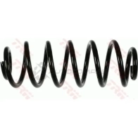 Пружина TRW jcs968 Q8 X3G6U Audi A3 (8P) 2 2003 – 2012 3322937985623