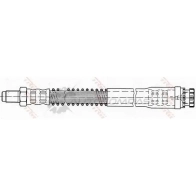 Тормозной шланг TRW phb516 0Z Y25X 1545470 3322937919956 - Изображение 2