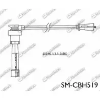 Высоковольтные провода зажигания SPEEDMATE 1233468880 SM-CBH519 C0 WS8 TISWK