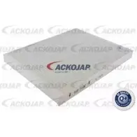 Салонный фильтр ACKOJAP JC87O 1263589479 A53-30-0009 LWH2ZC T