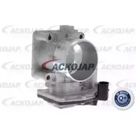 Дроссельная заслонка ACKOJAP 1263589553 A53-81-0005 DHM 0YZS 8PLW1