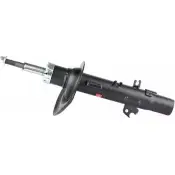 Амортизатор BSG Peugeot 207 1 (SW, WK, PF1) Универсал 8719822087176 BSG 70-300-025 1S IR2