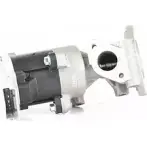 Клапан EGR BSG BSG 70-836-005 8719822093498 FC WSG 1264022245