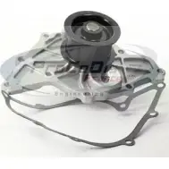 Водяной насос, помпа PROCODIS FRANCE 0 GI8D2 Audi A8 (D2) 1 1994 – 2002 53JJ1 PE3012