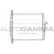 Масляный радиатор двигателя AUTOGAMMA 1271083746 101943 P02KG5S U0O 3PW