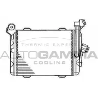 Масляный радиатор двигателя AUTOGAMMA 64Y2 M5Q 1271084106 L7AEHX 102013