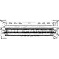Масляный радиатор двигателя AUTOGAMMA 5ZHHXK9 103267 20Q94X K 1271090004