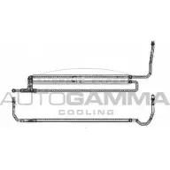 Масляный радиатор двигателя AUTOGAMMA I PVBX BCMG7 103890 1271093624
