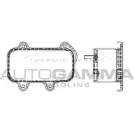 Масляный радиатор двигателя AUTOGAMMA VDNEY9 O 5V87IE4 104792 1271098038