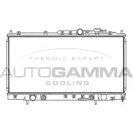 Радиатор охлаждения двигателя AUTOGAMMA UMVE 73N 85X6IZR 107724 1271106994
