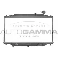 Радиатор охлаждения двигателя AUTOGAMMA 1271107004 WH7P5 107725 FGY0 3CQ