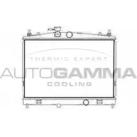 Радиатор охлаждения двигателя AUTOGAMMA FNX F5GS 107727 1271107022 5MCDAF